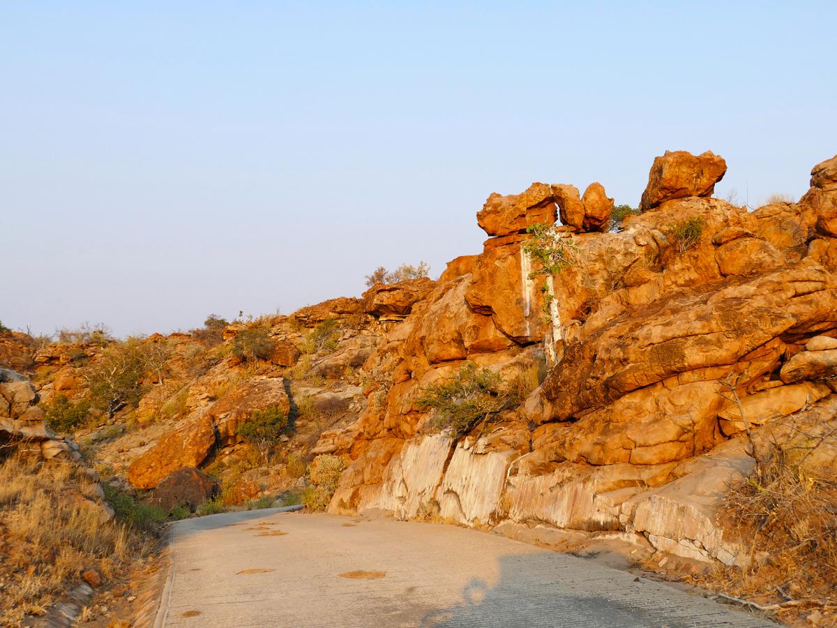 Mapungubwe National Park exploringafrica safariadv South Africa