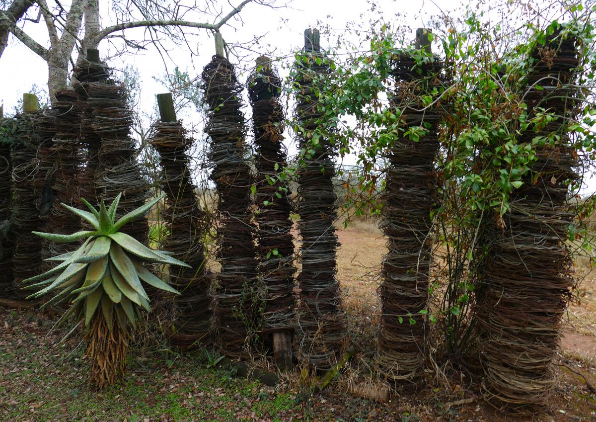 swaziland exploringafrica safariadv romina facchi travel safari africa