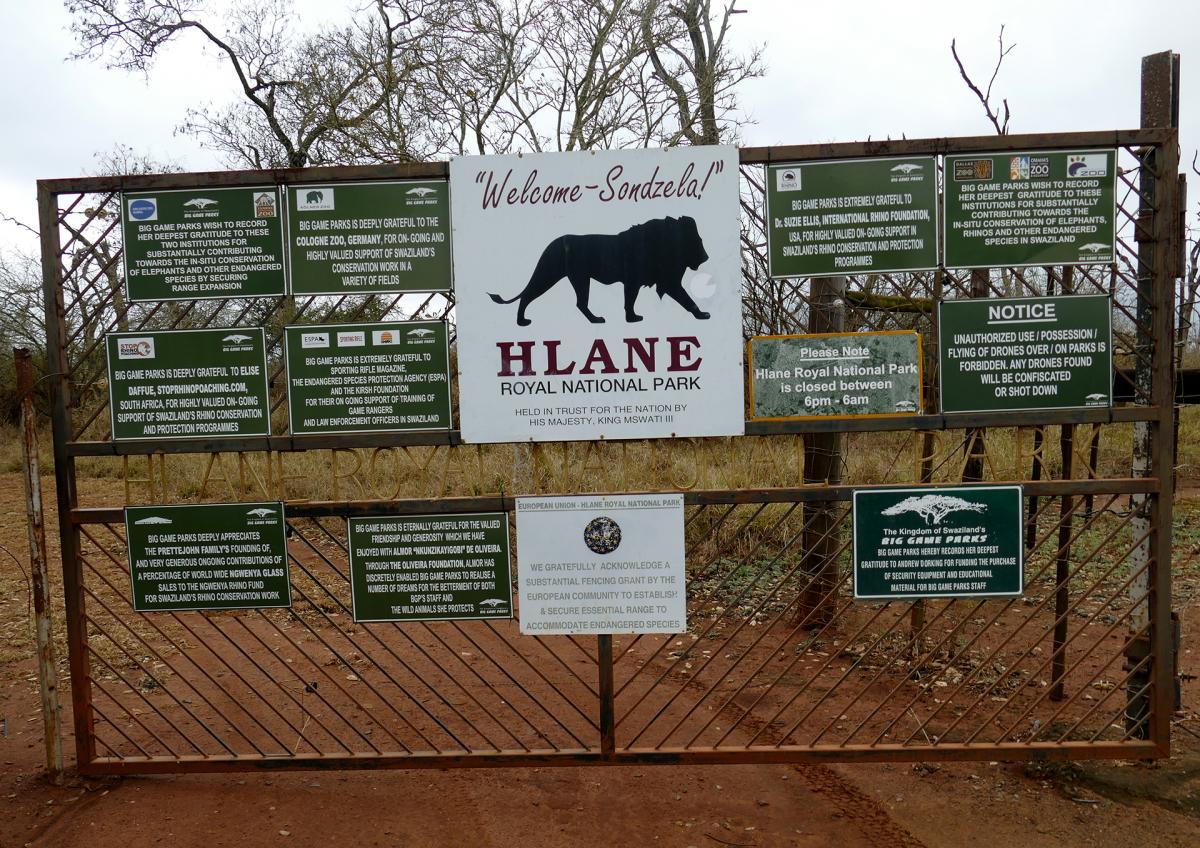 swaziland exploringafrica safariadv romina facchi travel safari africa