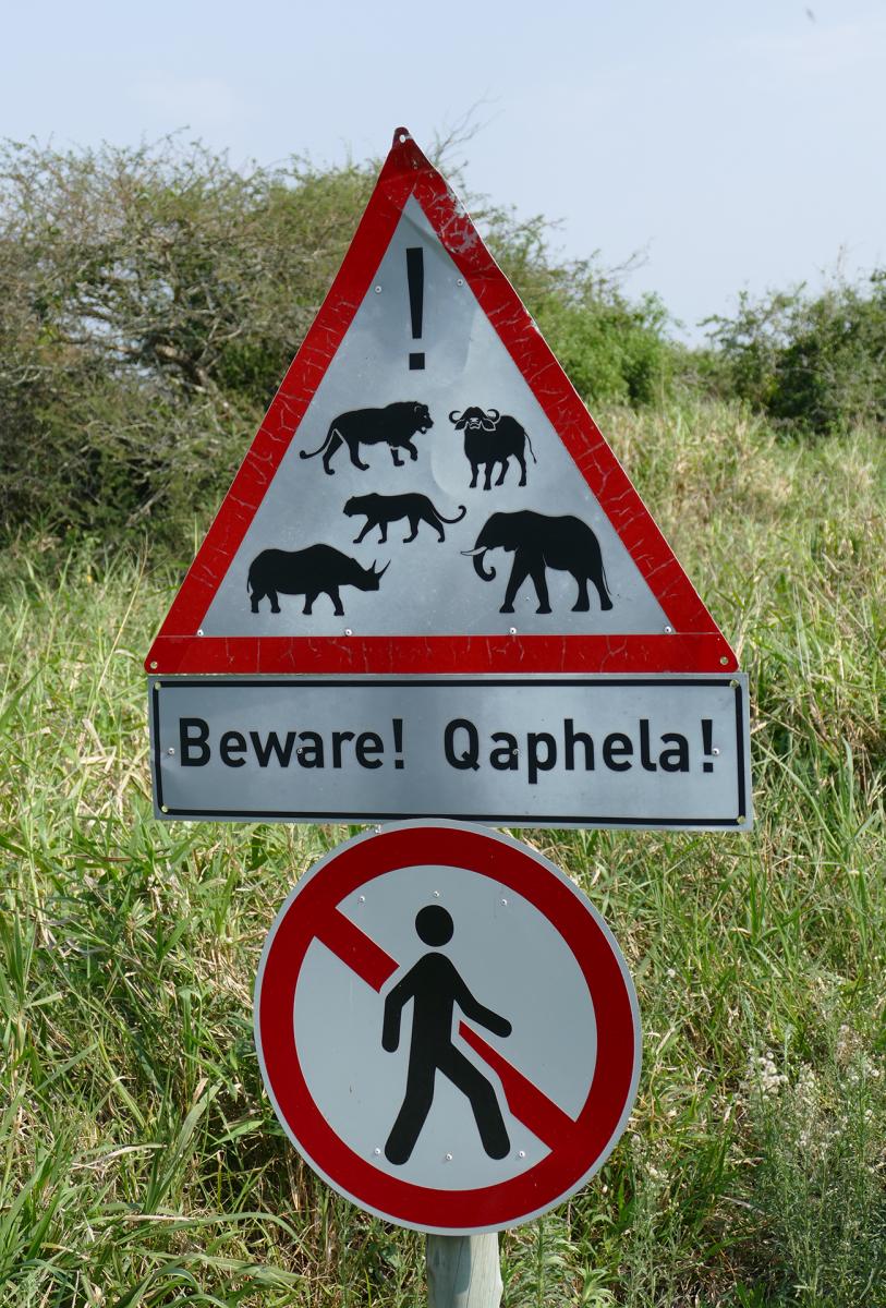 south africa sudafrica exploringafrica safariadv isimangaliso safari travel