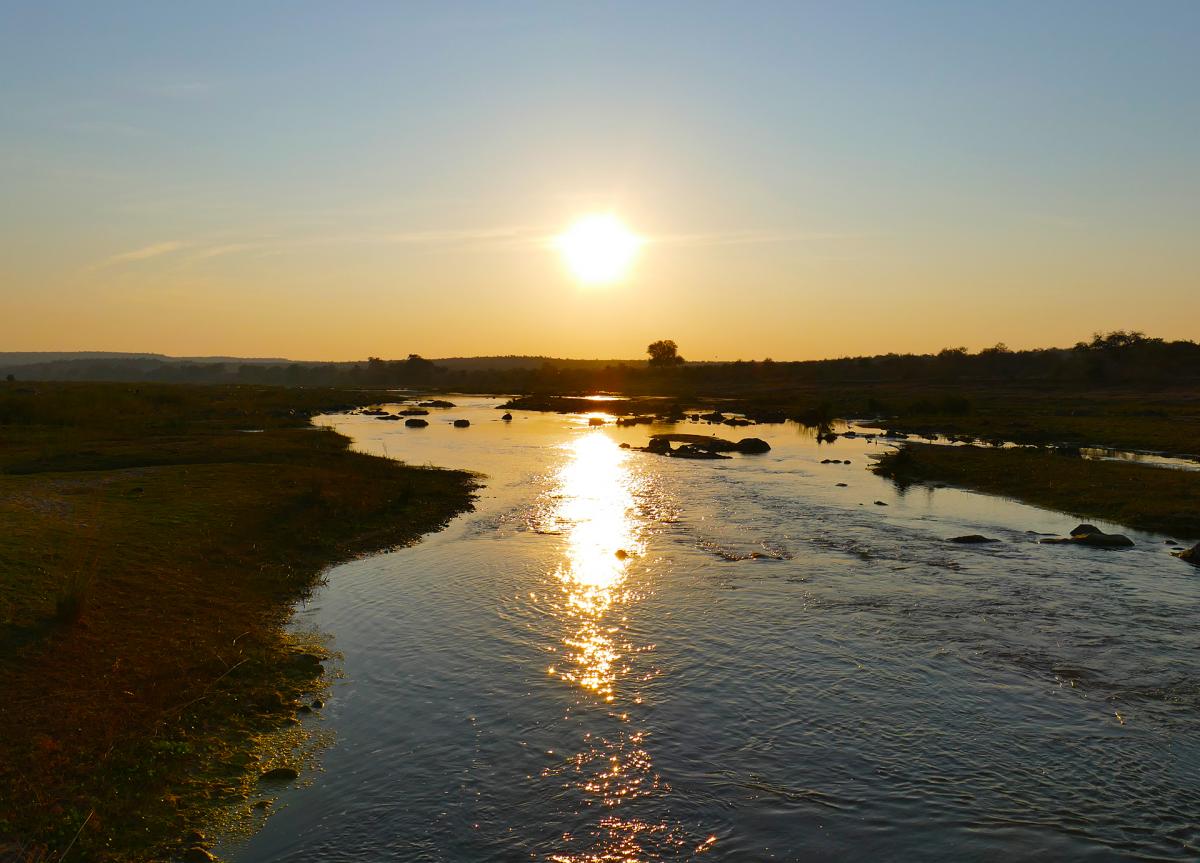 south africa sudafrica exploringafrica safariadv kruger rhino safari travel