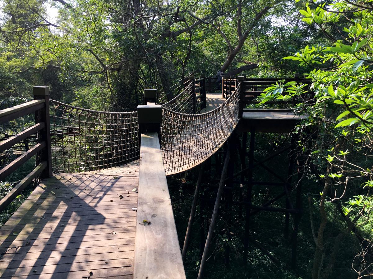 south africa sudafrica exploringafrica safariadv isimangaliso safari travelravel