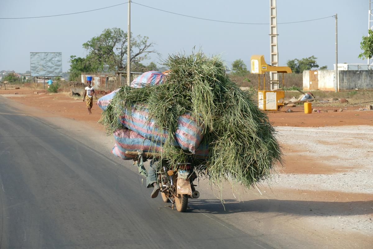 on the road ivory coast exploringafrica safariadv romina facchi costad'avorio cote d'ivoire