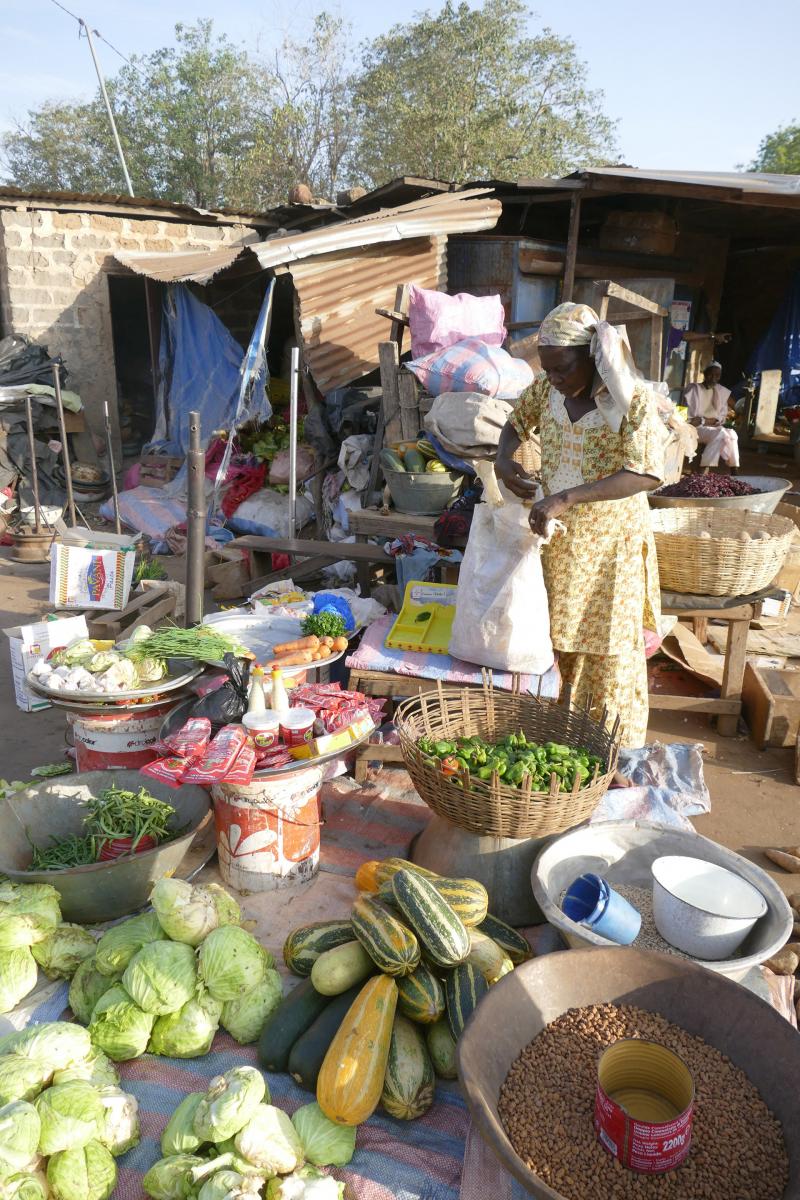 costa d'avorio ivory coast romina facchi exploringafrica safariadv west africa 