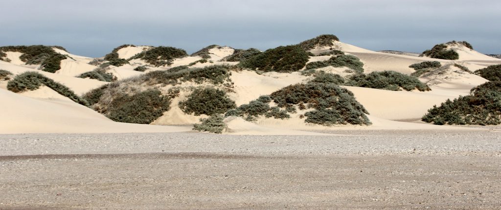 skeleton coast namibia exploringafrica SafariADV romina facchi travel safari africa