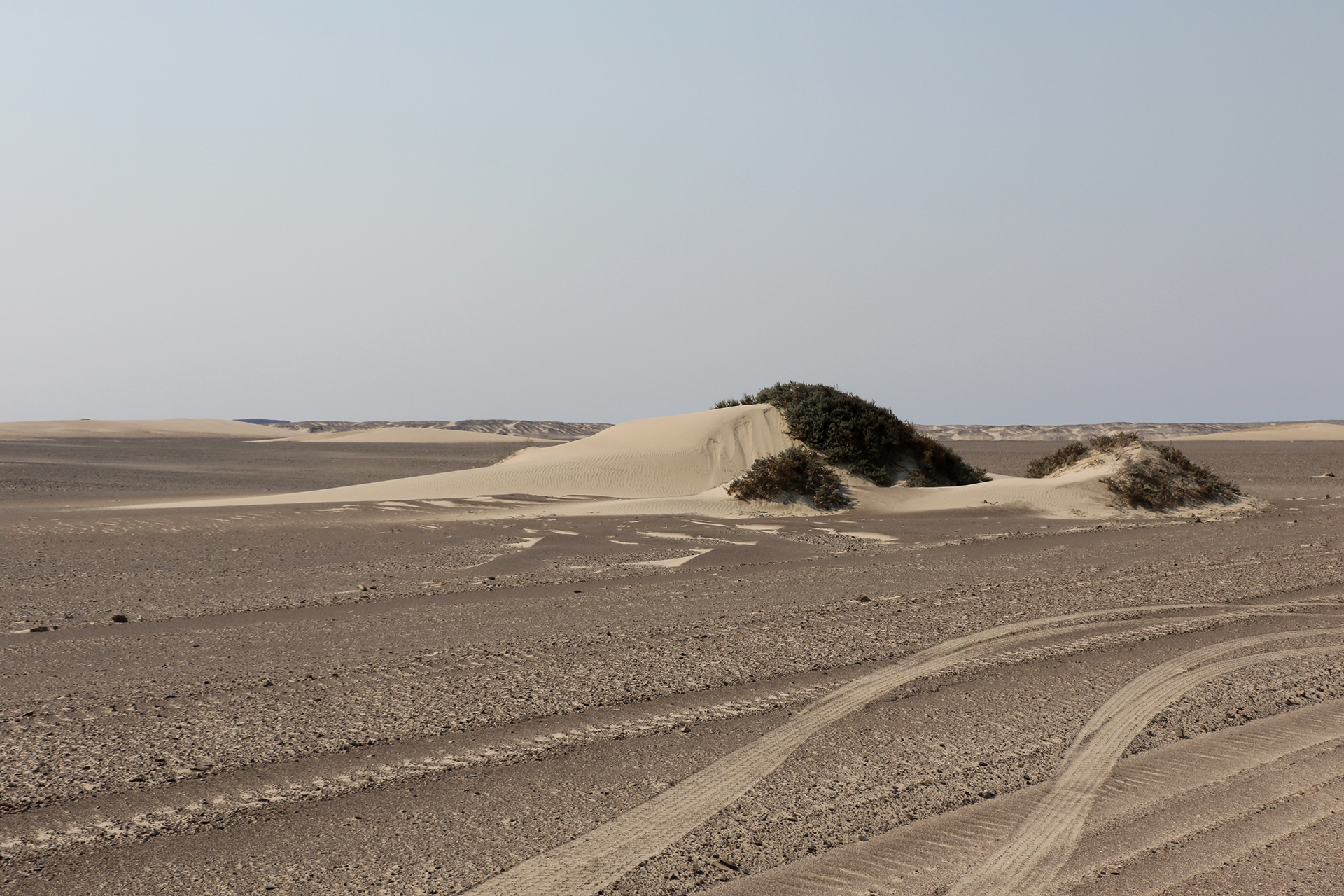 skeleton coast namibia exploringafrica SafariADV romina facchi travel safari africa