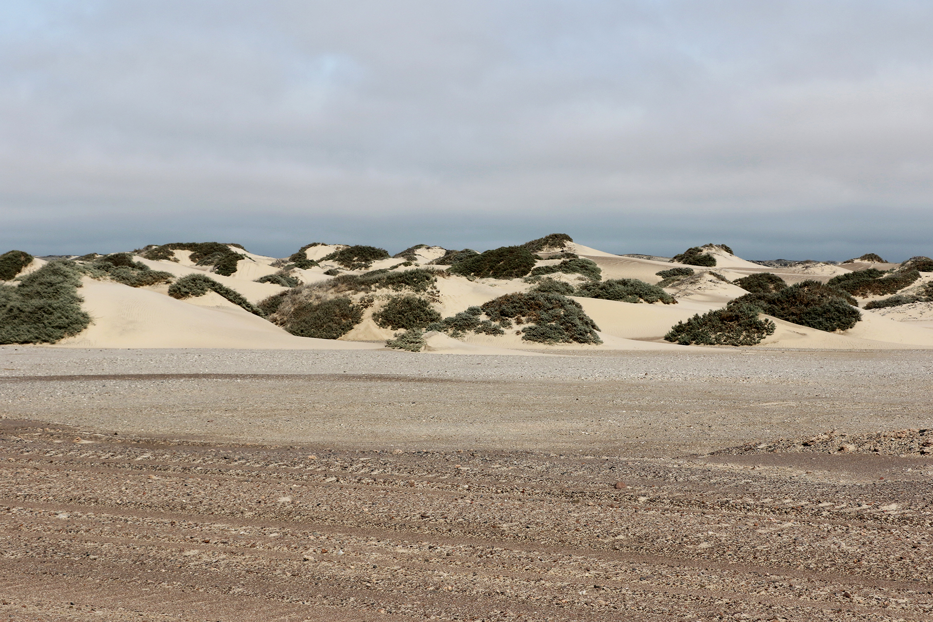 skeleton coast namibia exploringafrica SafariADV romina facchi travel safari africa