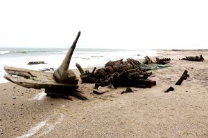 skeleton coast namibia exploringafrica SafariADV romina facchi travel safari africa