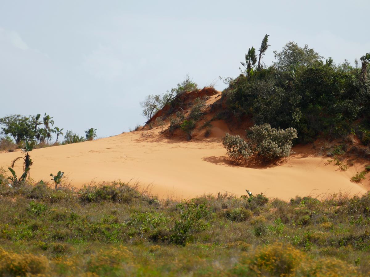 isimangaliso wetland park South Africa romina facchi