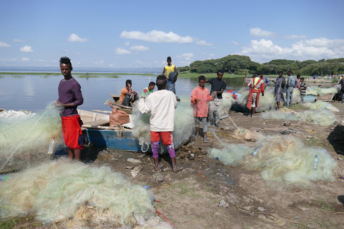 Hawassa Fish market ethiopia