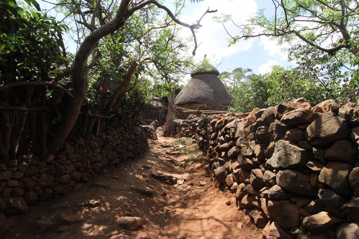 Konso village ethiopia africa safariadv exploringafrica