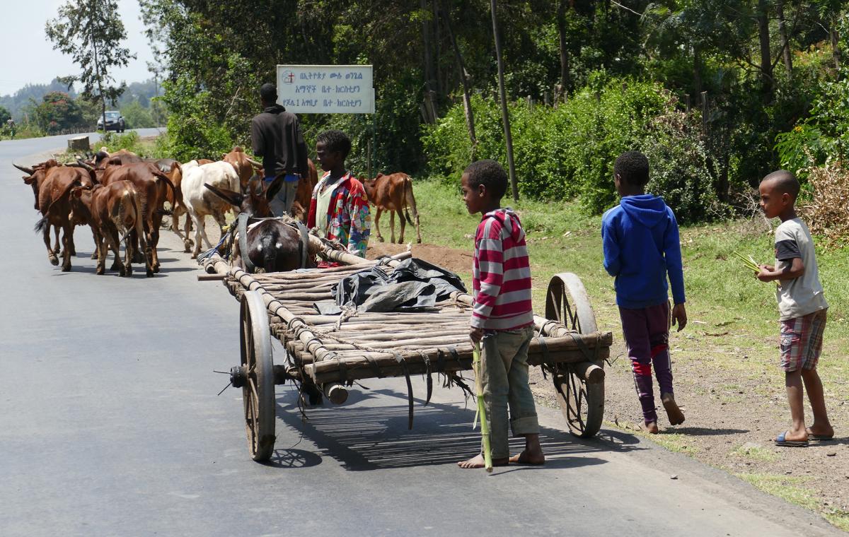 Ethiopia on the road