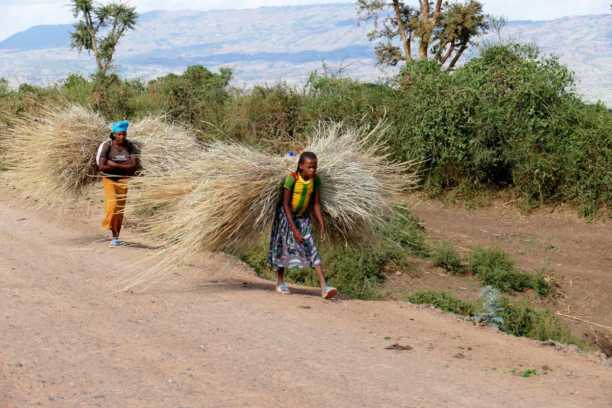 etiopia ethiopia exploringafrica safariadv travel omo valley mursi hamar kara dassanech konso 