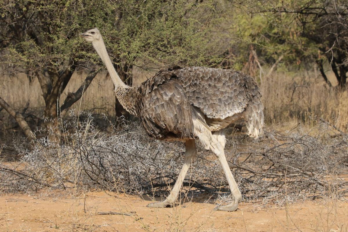 Marakele National Park