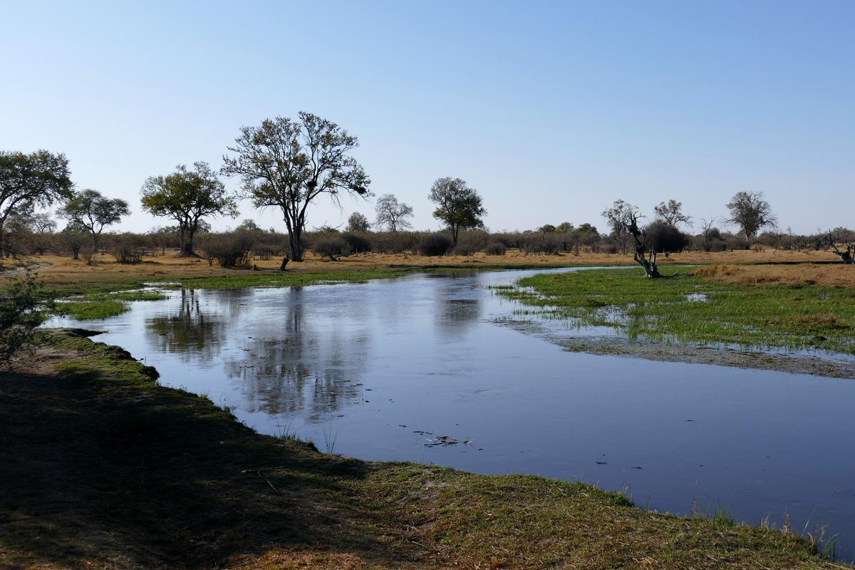 botswana chobe