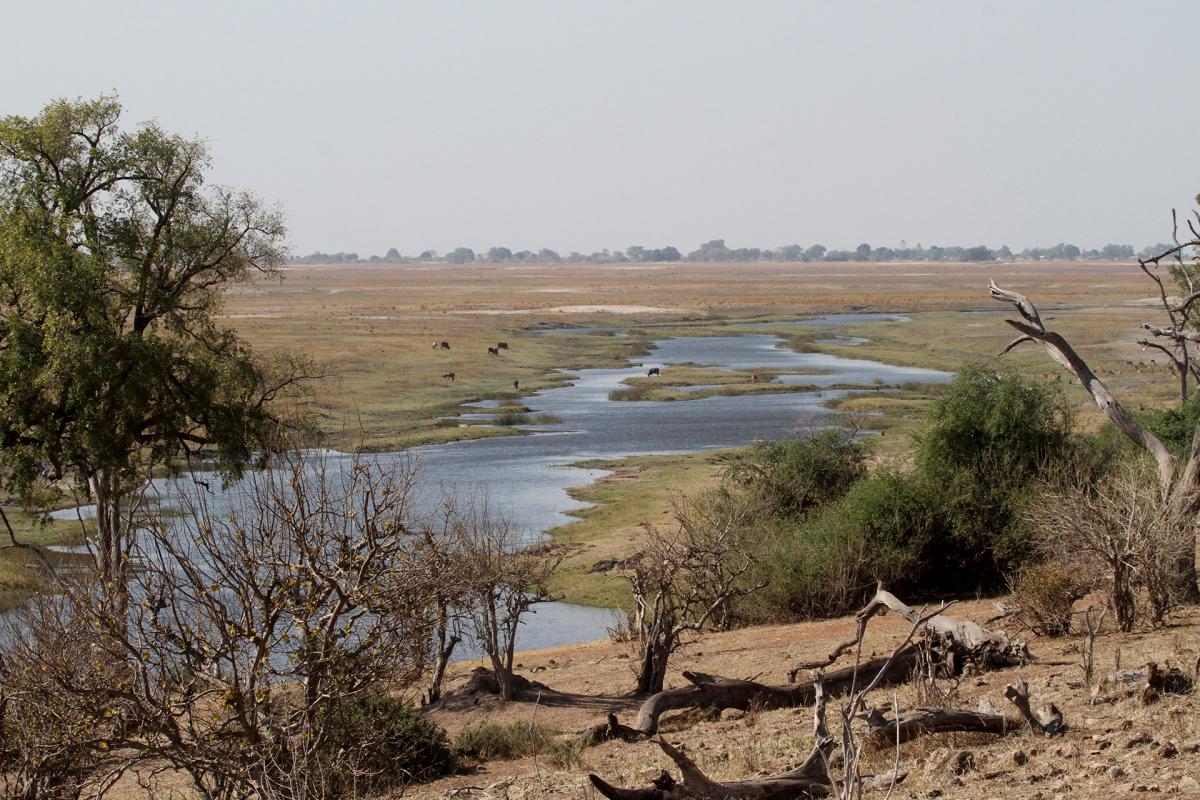 Chobe Riverfront botswana