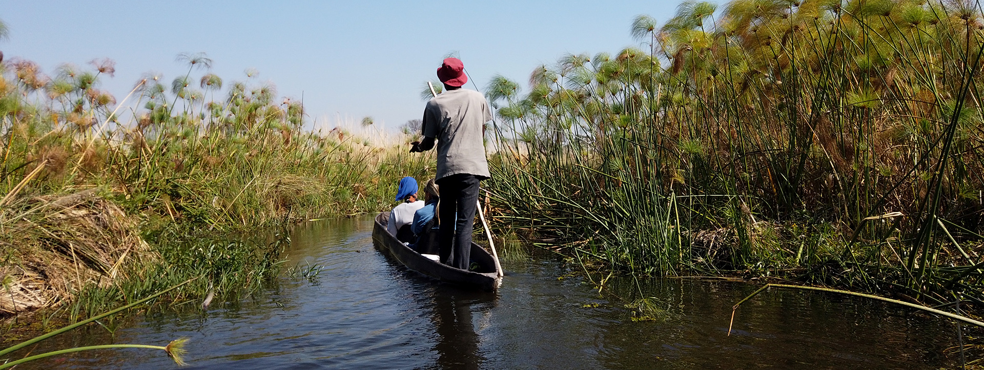 botswana south africa exploringafrica safariadv romina facchi travel chobe savuti moremi okavango