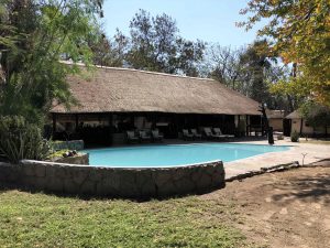 botswana south africa exploringafrica safariadv romina facchi travel chobe savuti moremi okavango