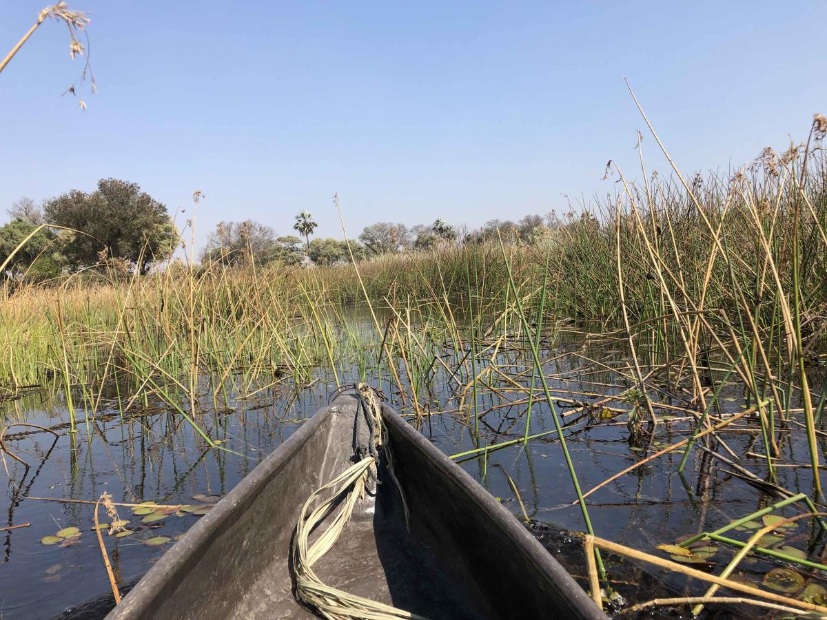 Okavango Delta: mokoro experience exploring africa SafariADV