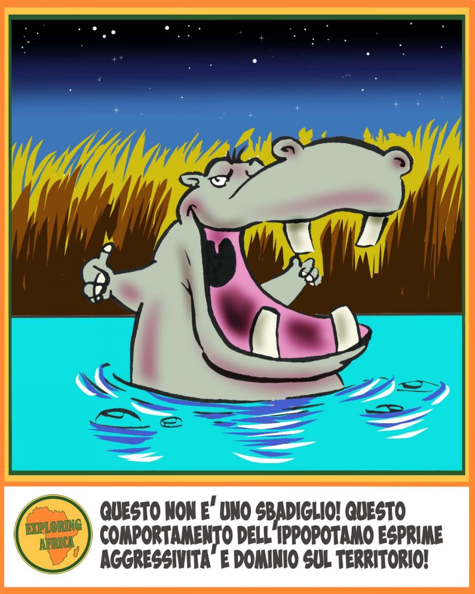 ippopotamo fumetto