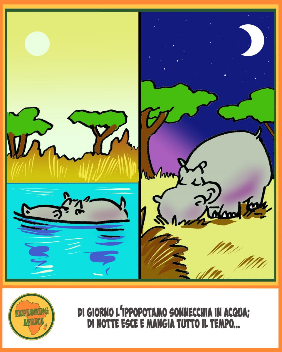 ippopotamo fumetto comics