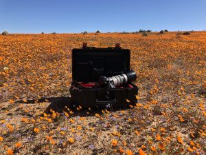 namaqua national park