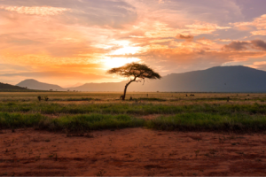 tramonto africano